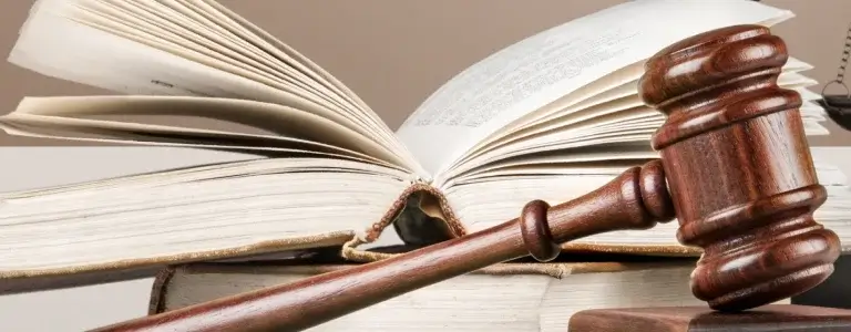 A book with a gavel on top of it.