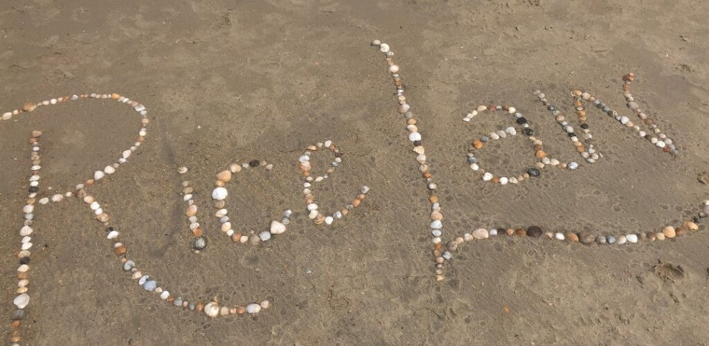 rice law shells