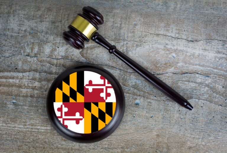 maryland flag courts
